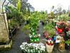 Read more about this business for sale in the Port Macquarie area