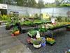 Read more about this business for sale in the Port Macquarie area